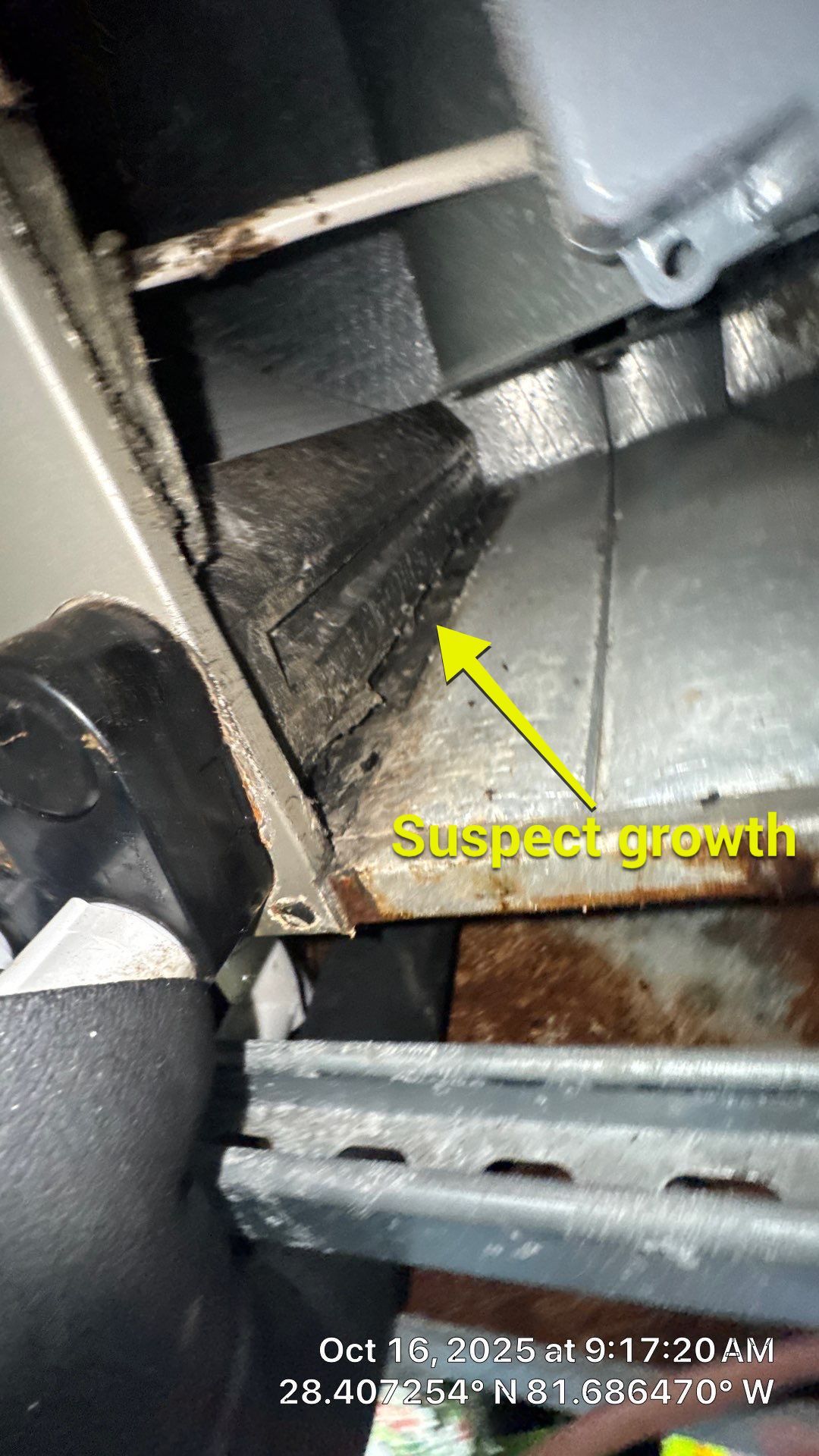 Air Duct Cleaning in Clermont by Hygienic Air, Inc