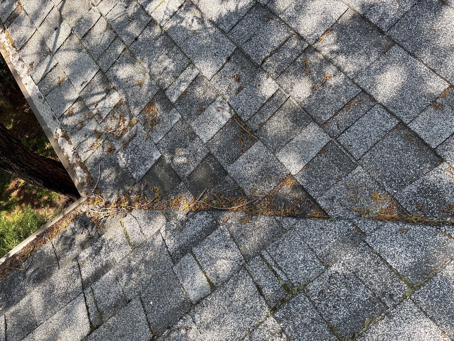 Roof Rejuvenation using Roof Maxx Treatment by Roof Maxx of Folsom