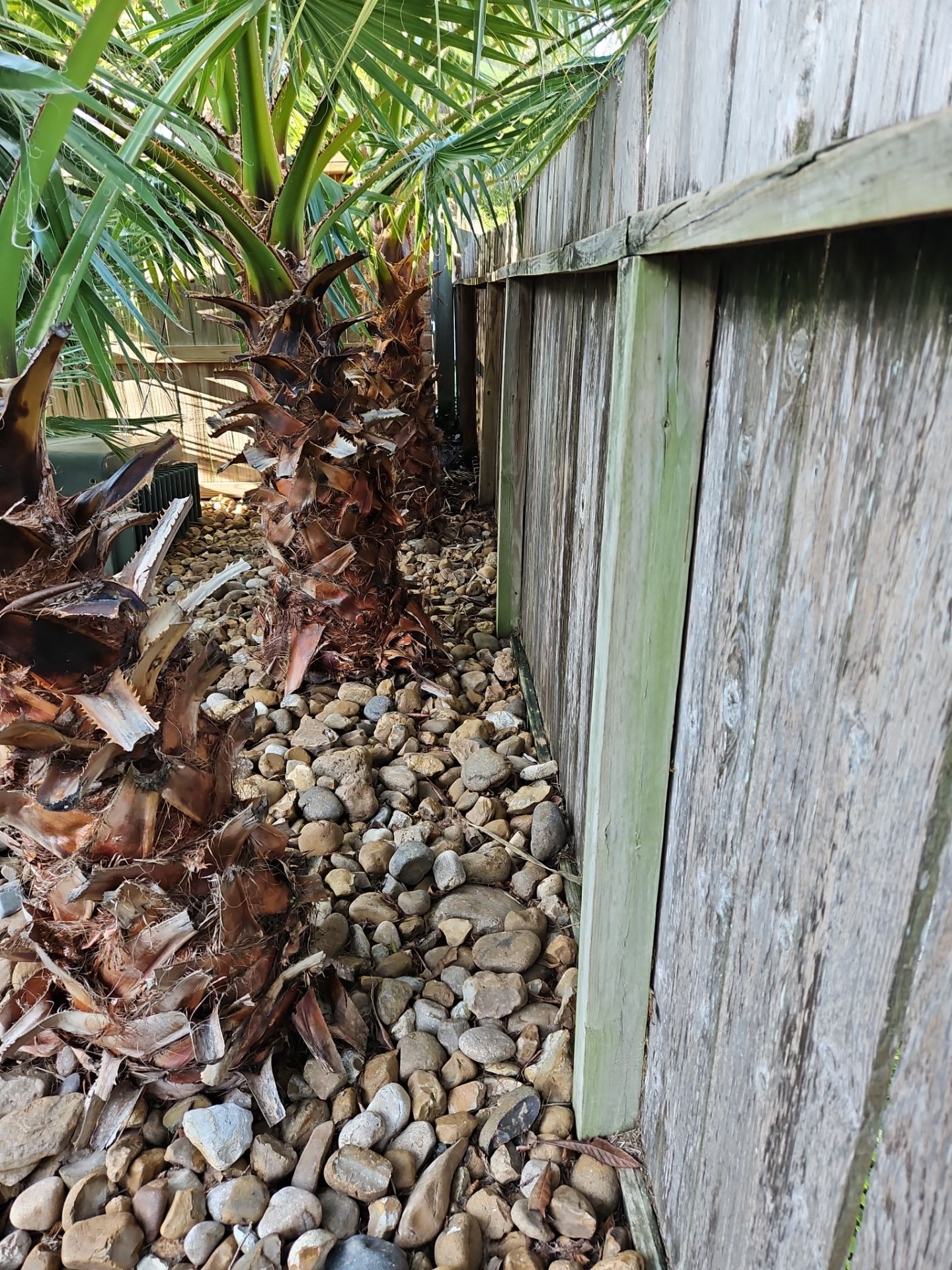 Poolside Perfection by Tim's Fences