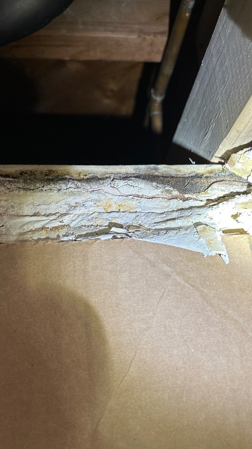 Mold Damage Project in Lakewood by Accountable Home Services