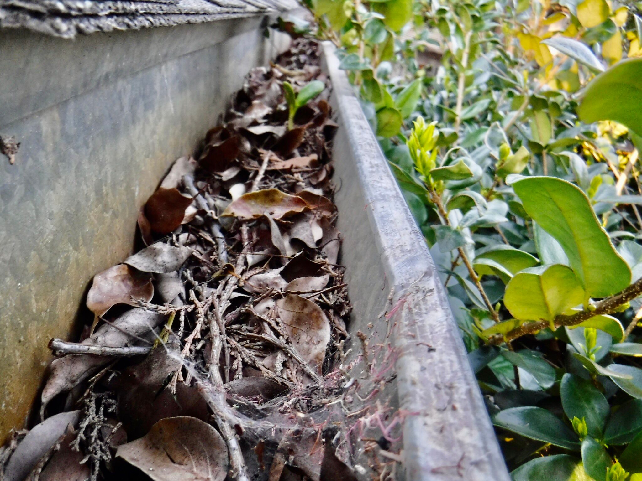 Gutter Installation using Englert LeafGuard Gutters by Byers Enterprises 