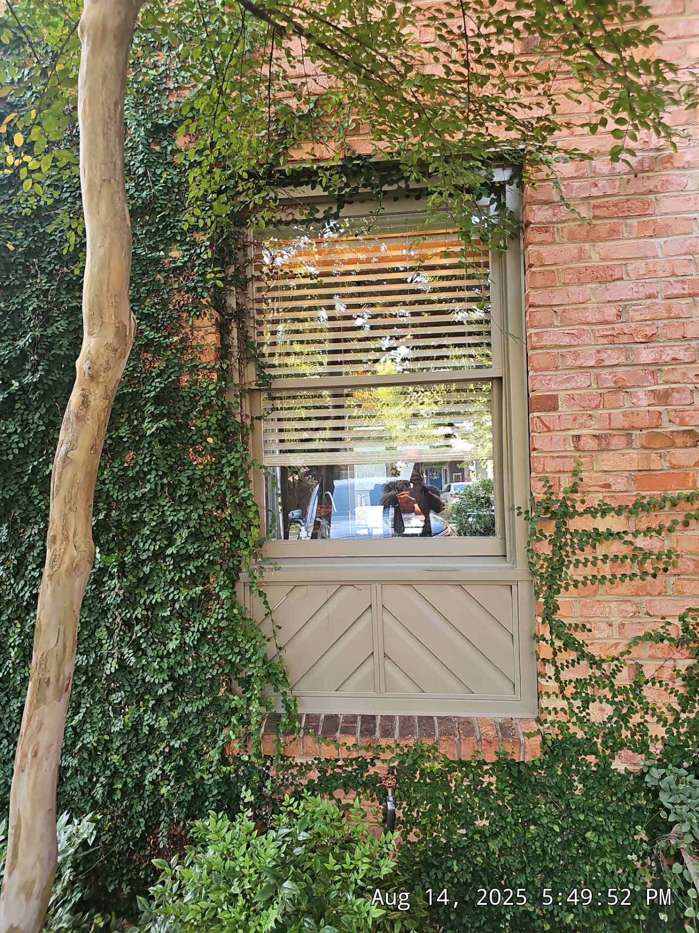 Wilson Project in Hoover by The Window Source