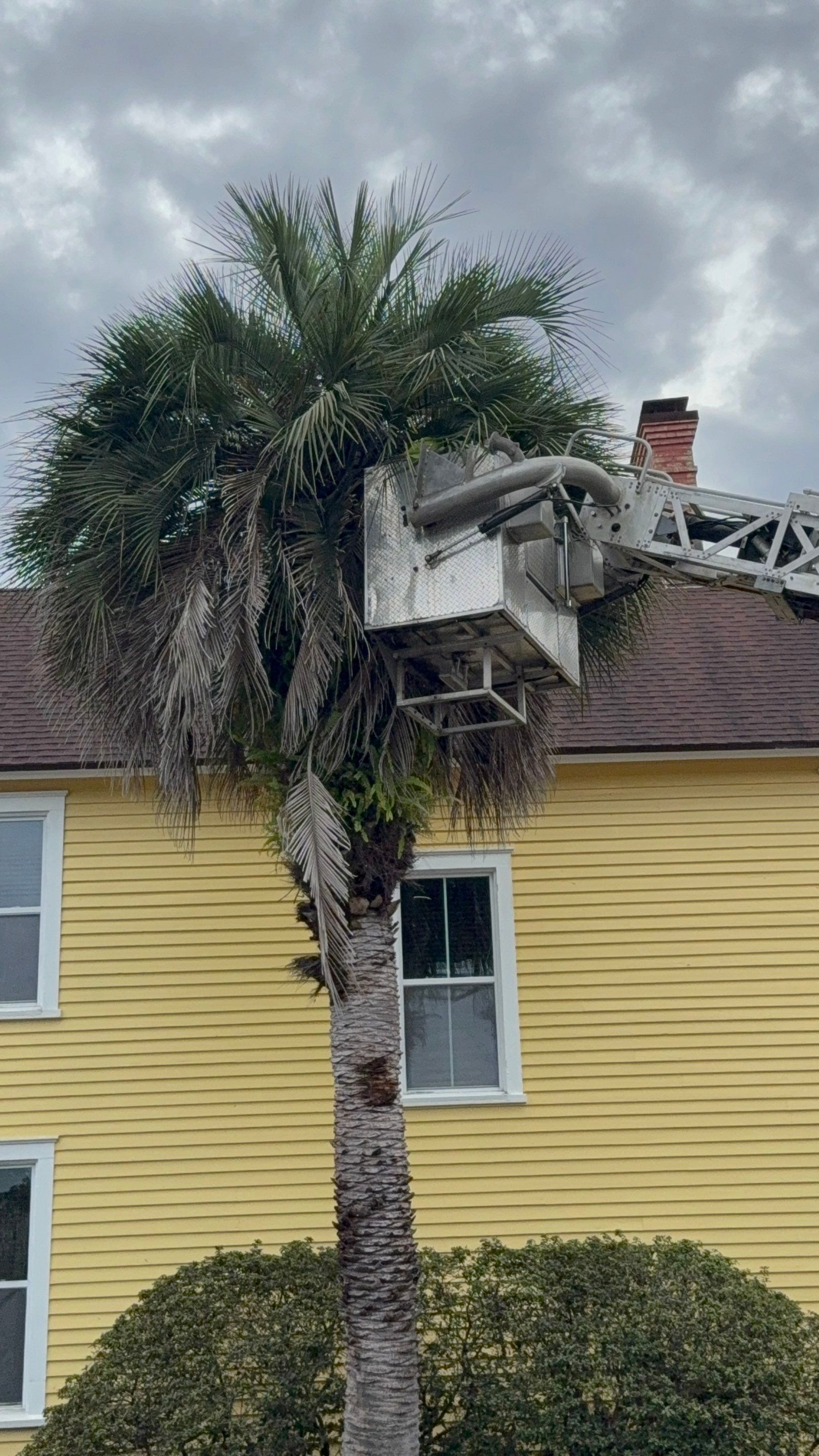 Volunteer Work | Episcopal High School of Jacksonville by ProGreen Services