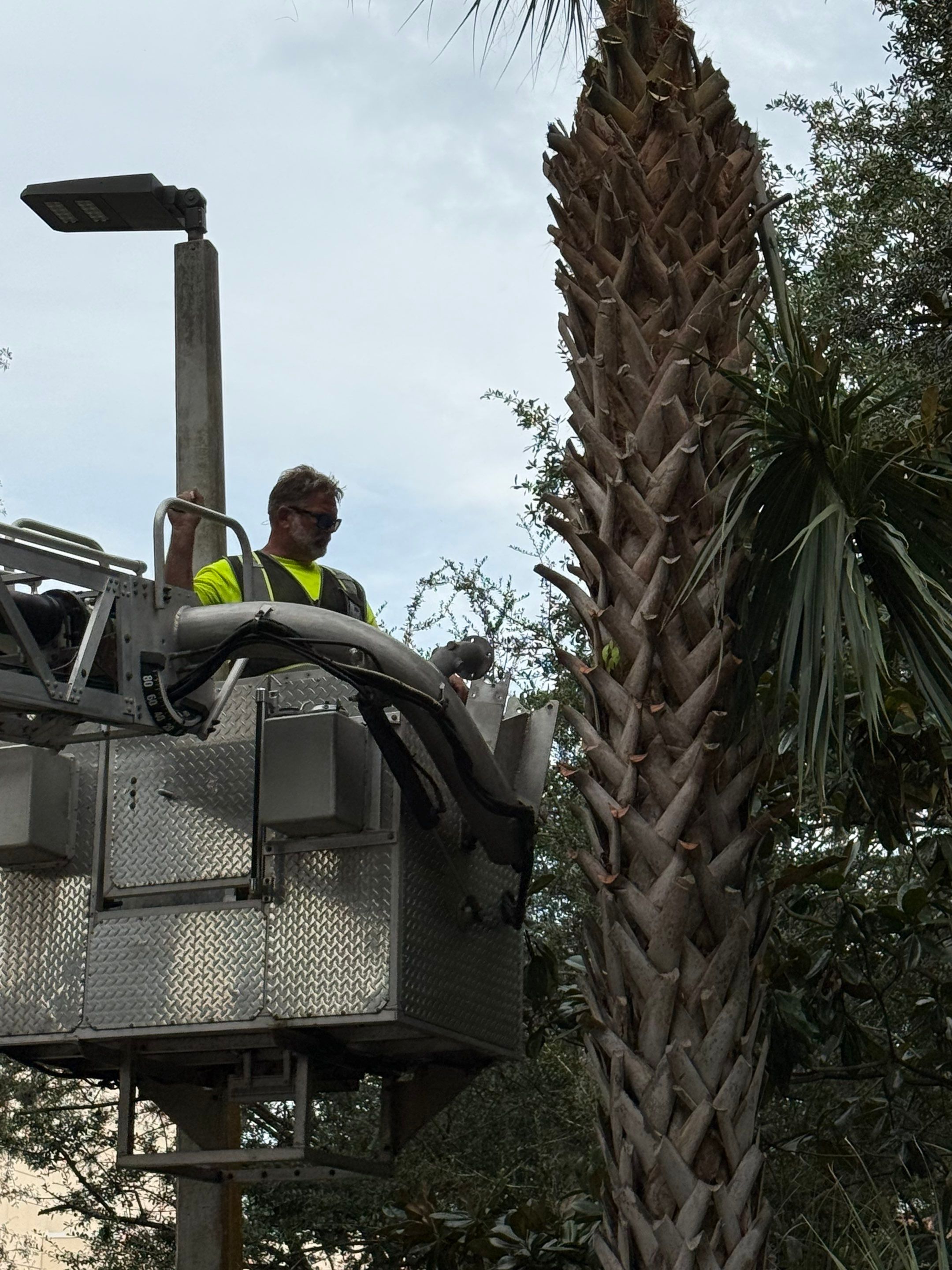 Volunteer Work | Episcopal High School of Jacksonville by ProGreen Services