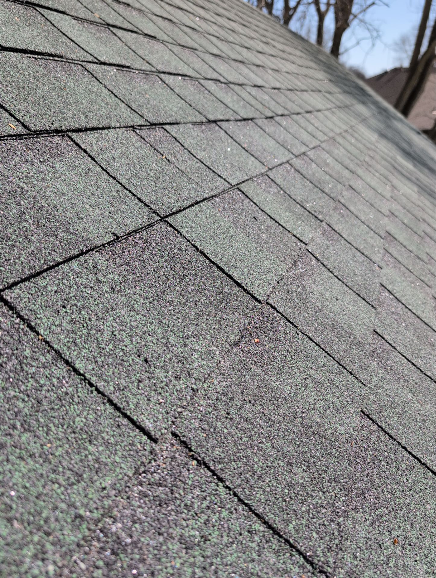 Roof Replacement in Nixa by Table Rock Design + Build