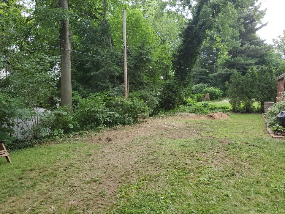 Tree Removal using Tree Removal by Mike Jones & Sons Tree Service LLC 