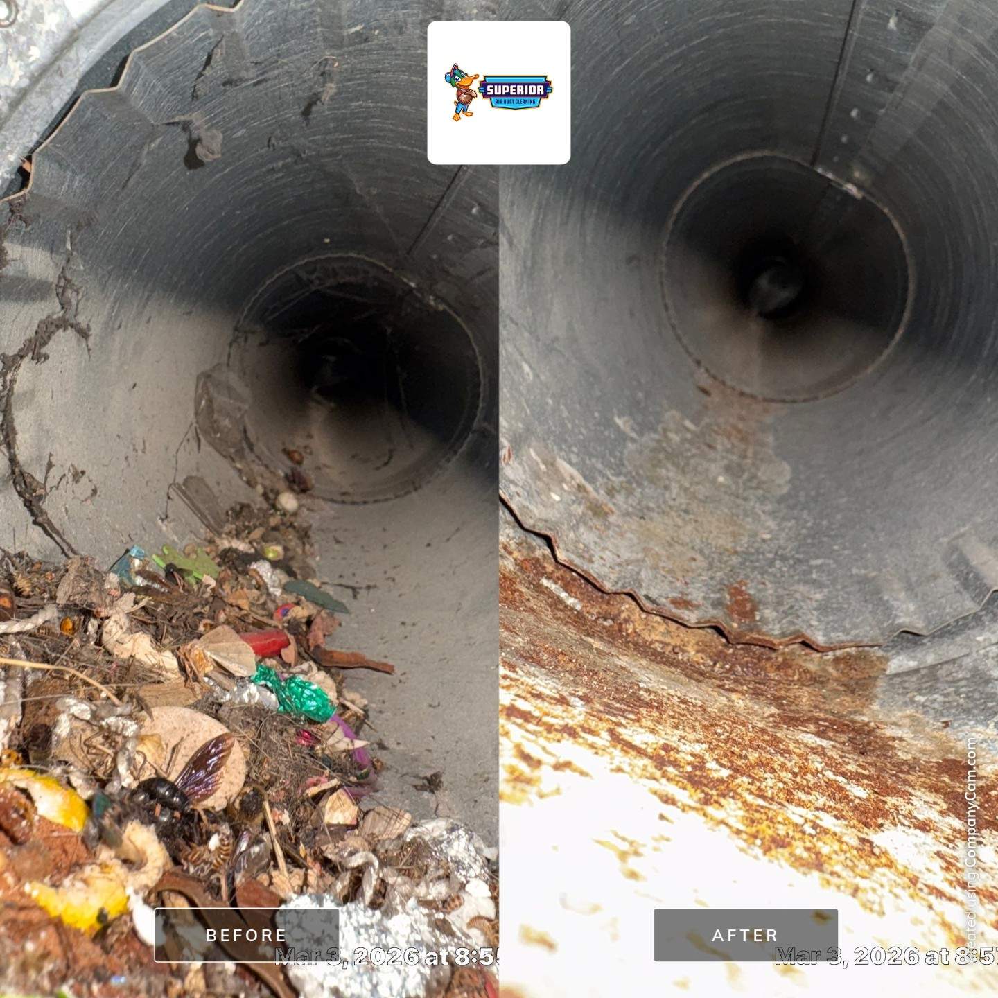 Air Duct Cleaning in East Palestine, OH by Superior Air Duct Cleaning