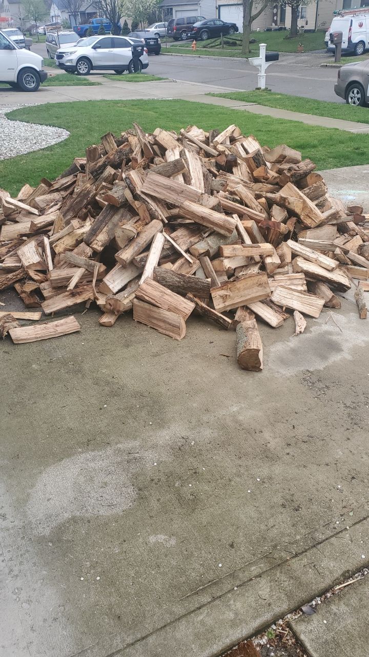 Tree Removal using Tree Removal by Mike Jones & Sons Tree Service LLC 