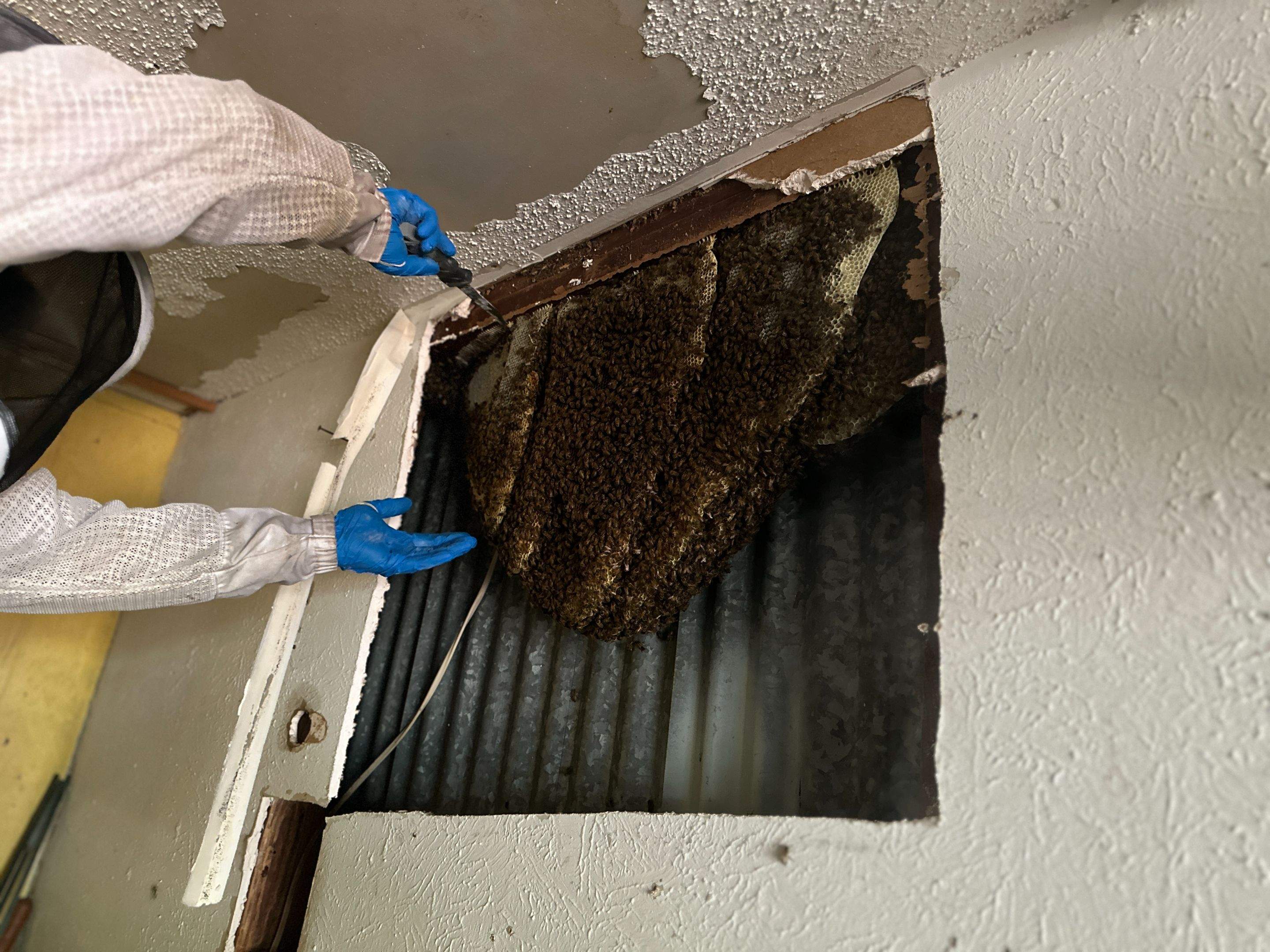 Motorcycle Garage by Rockwall Honey Bee Company