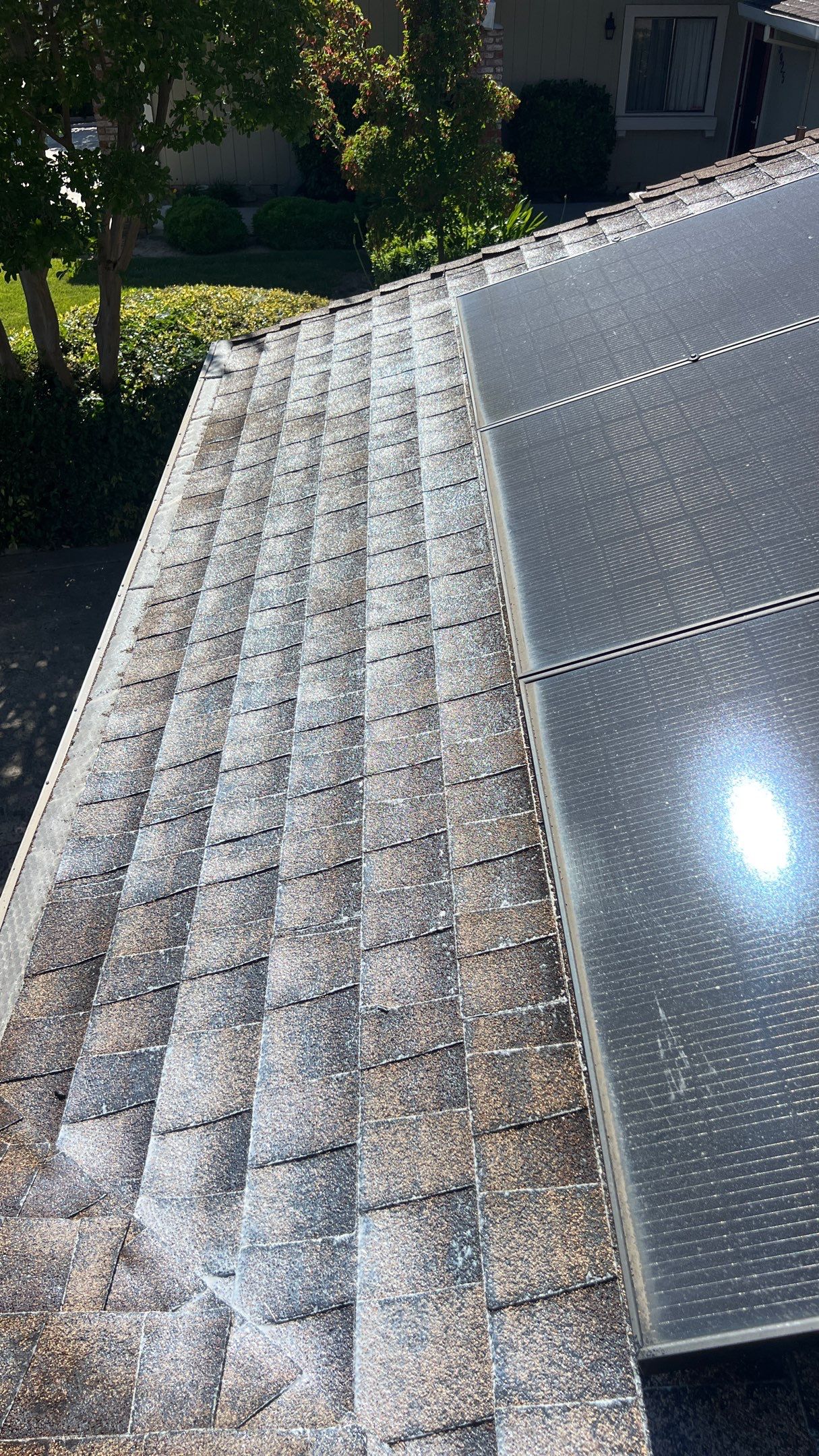 Roof Rejuvenation using Roof Maxx Treatment by Roof Maxx of Folsom
