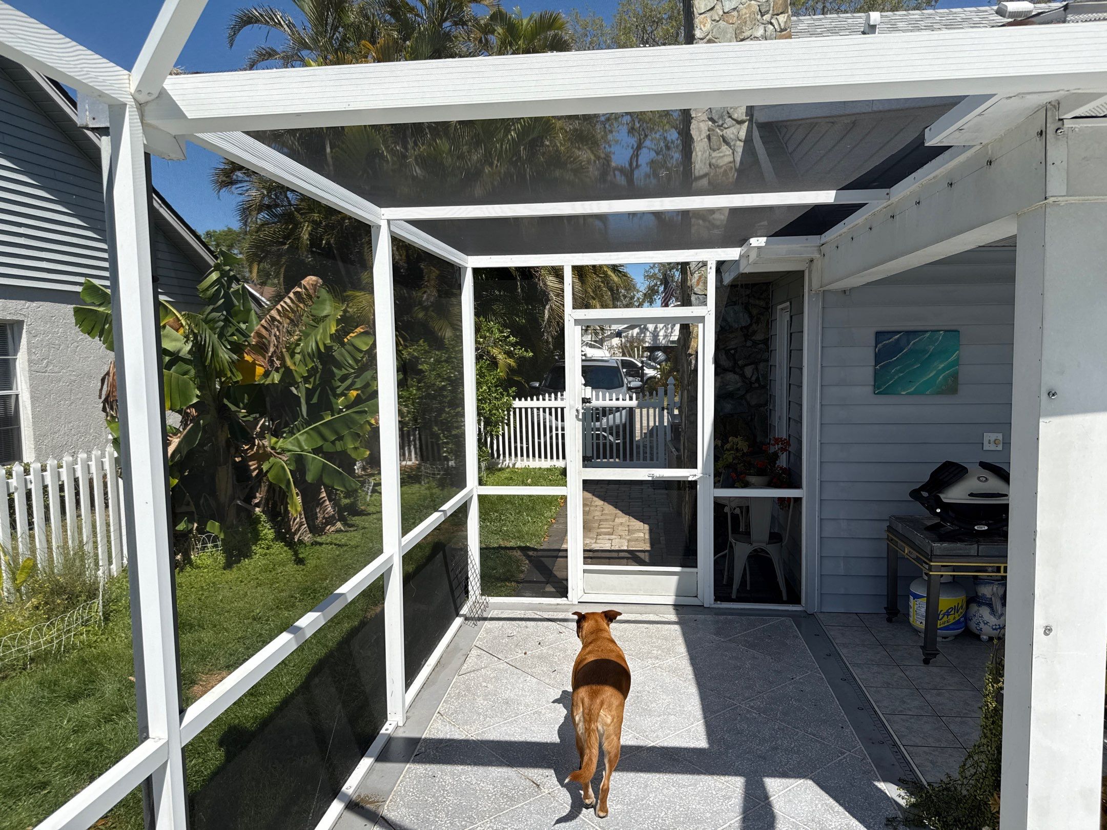 π‘ From Green to Clean! π Epic House & Pool Cage Cleaning on the Manatee River | Ellenton, FL π¦ by Sunshine AquaWash