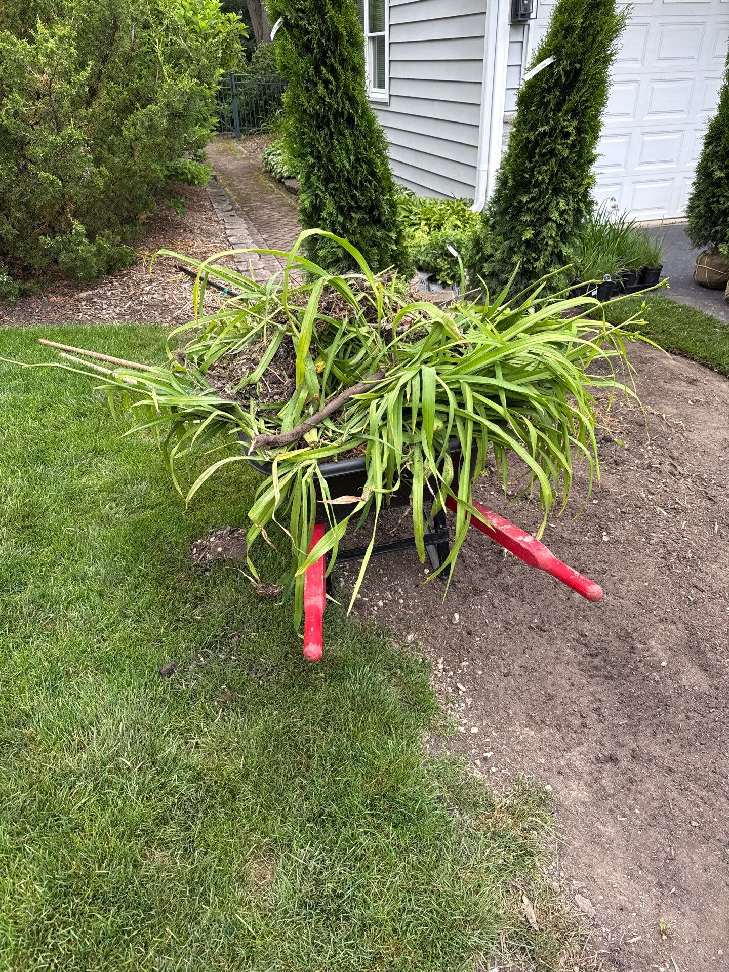 Anne P. - Arlington Heights, IL by A&N 