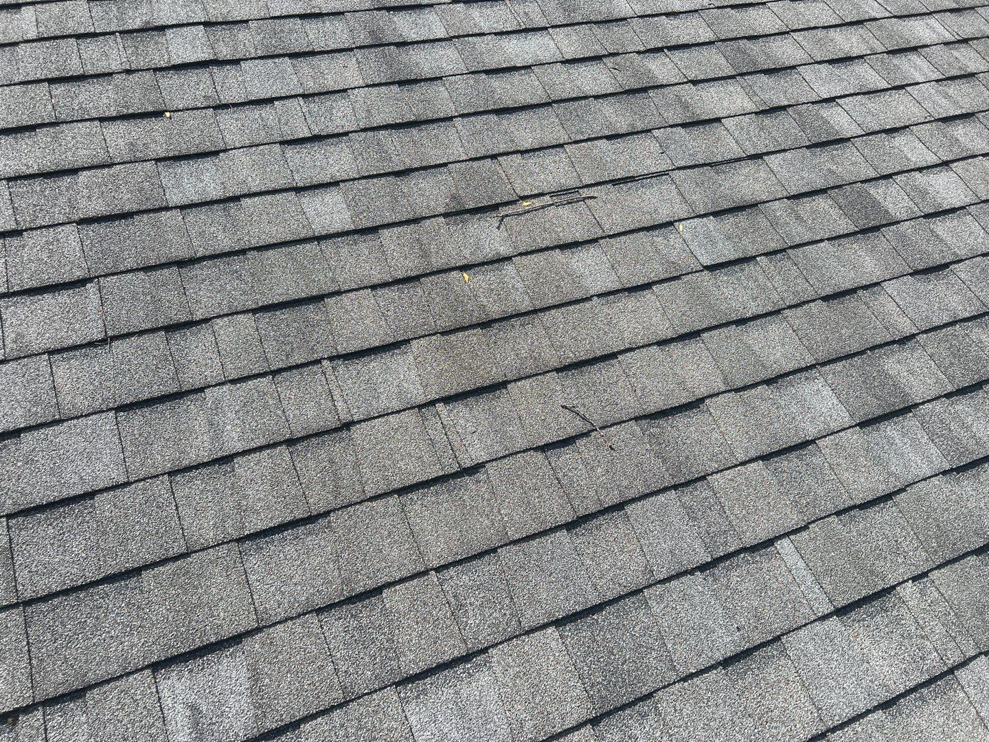 Ken Hacker by Silver Leaf Contracting 