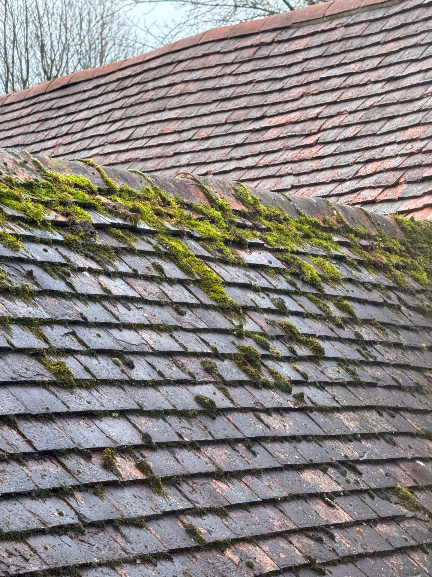 Roof Clean  - Moss Removal - Gutter Clean using Honda 15lpm Low Pressure Washing Machine by Ges Exterior Cleaning ltd