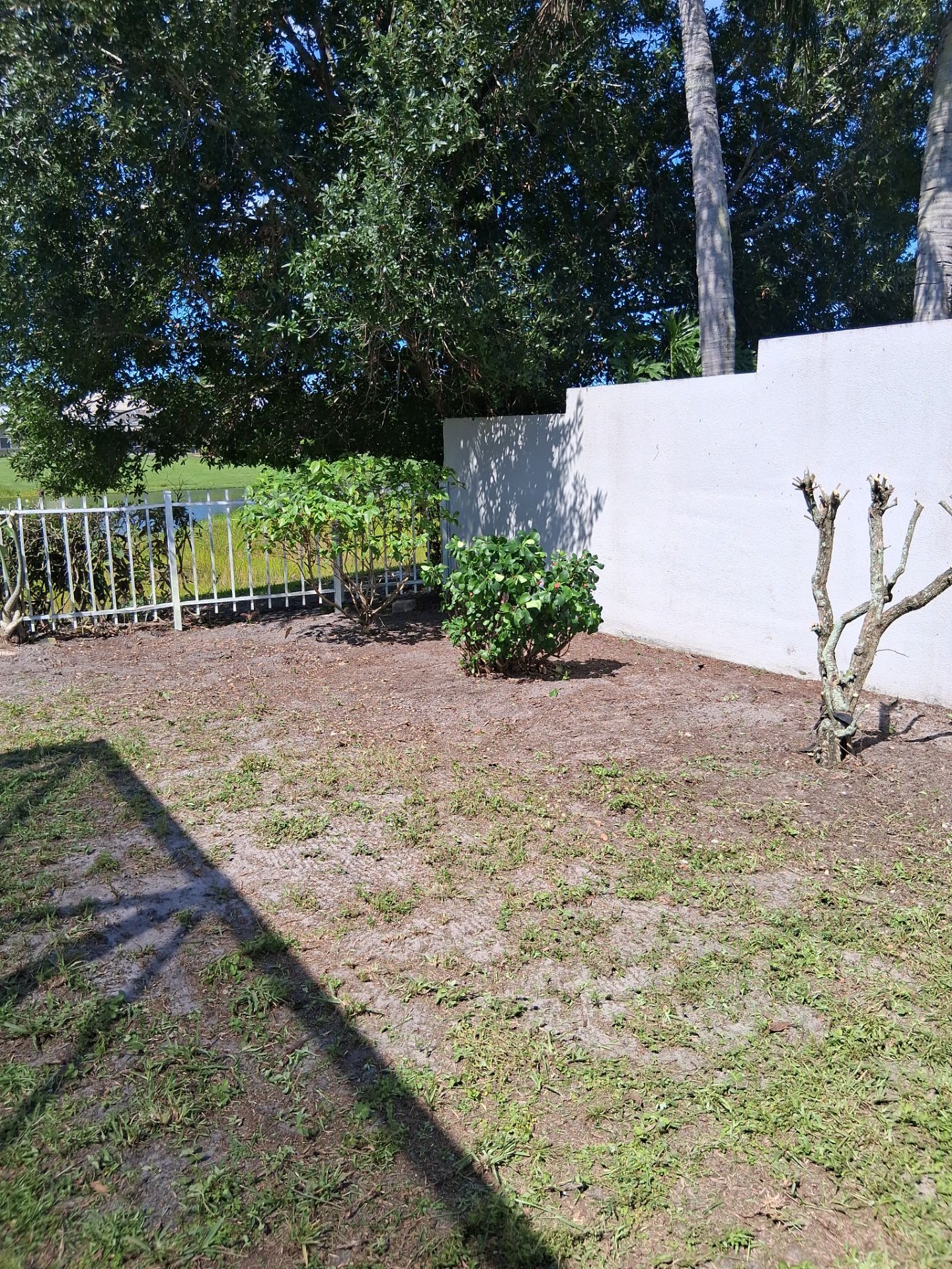 🌱 Evergreen Residential Cleanup — Palm City by Alpha Zeta Enterprises Inc