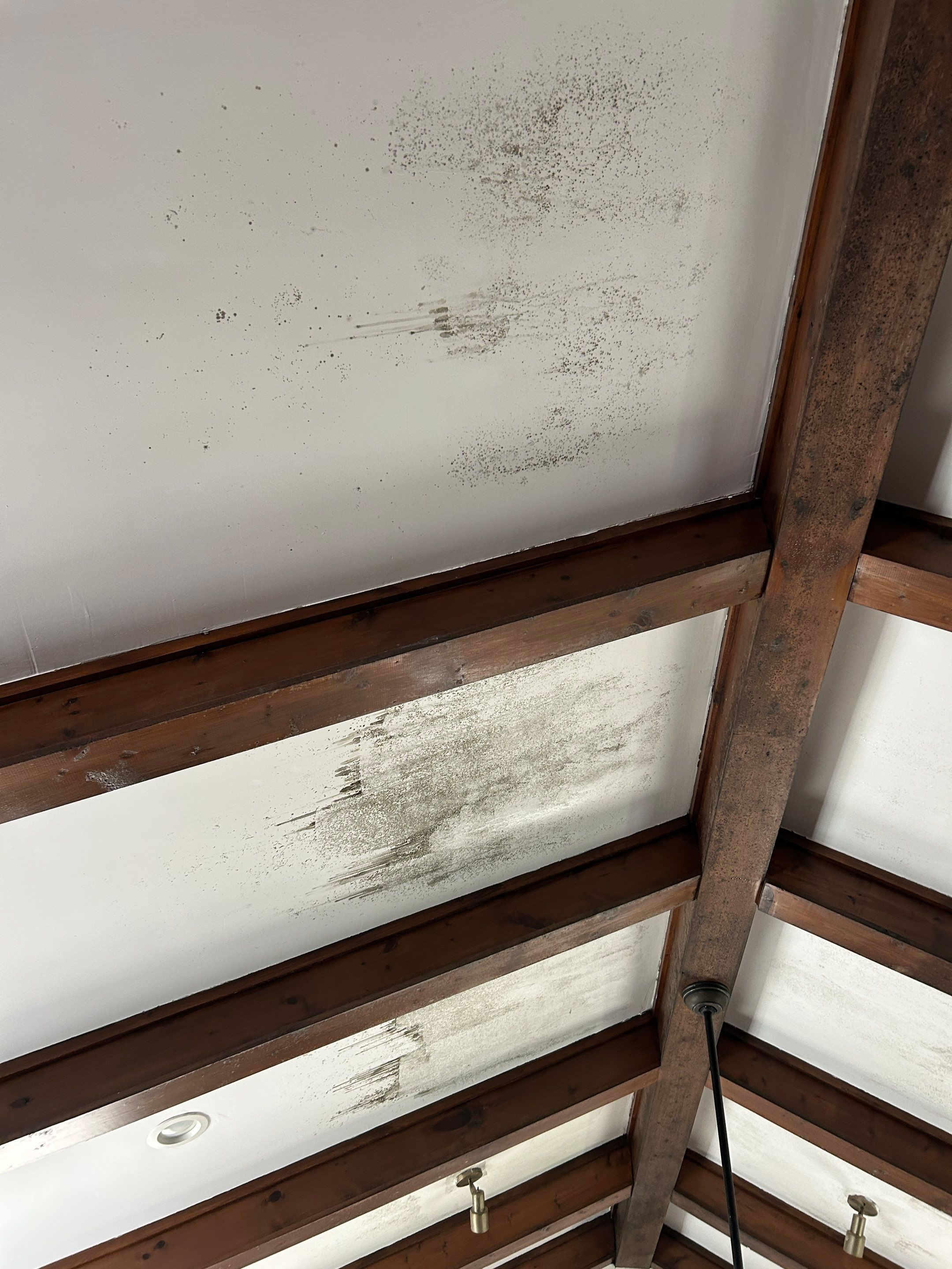 Ceiling Renovation & Insulation Upgrade by PGP Surface Solutions, LLC
