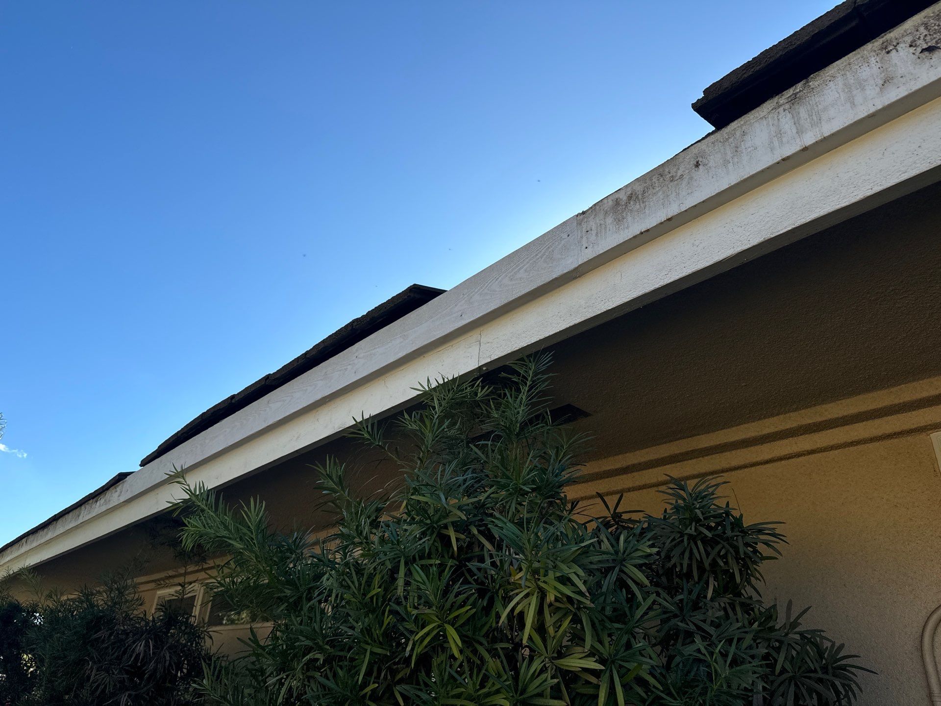 Solar Roof Leak Repair  by Grandmark Service Company