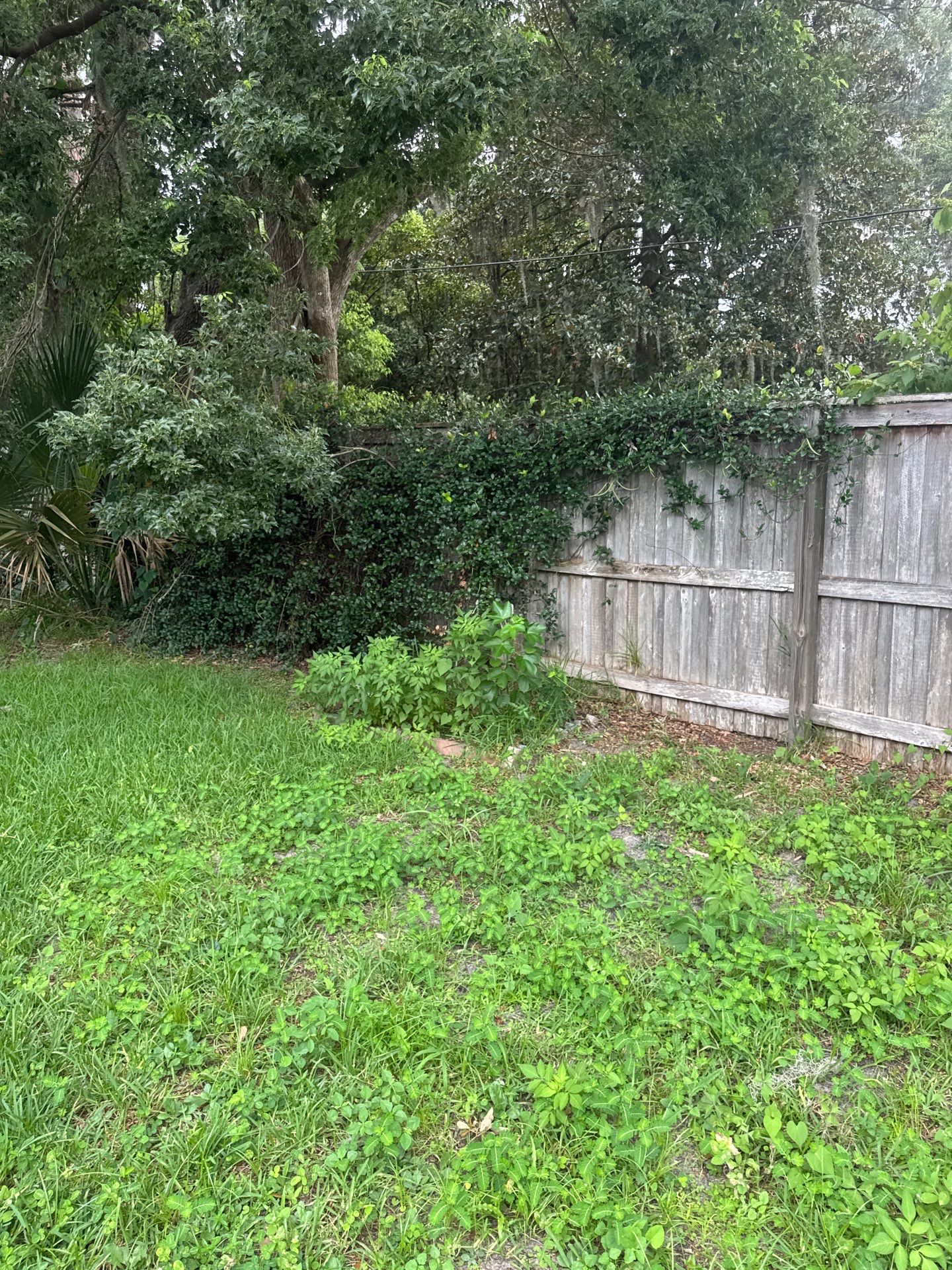 Residential | Clean-Up & Mulch Install by ProGreen Services