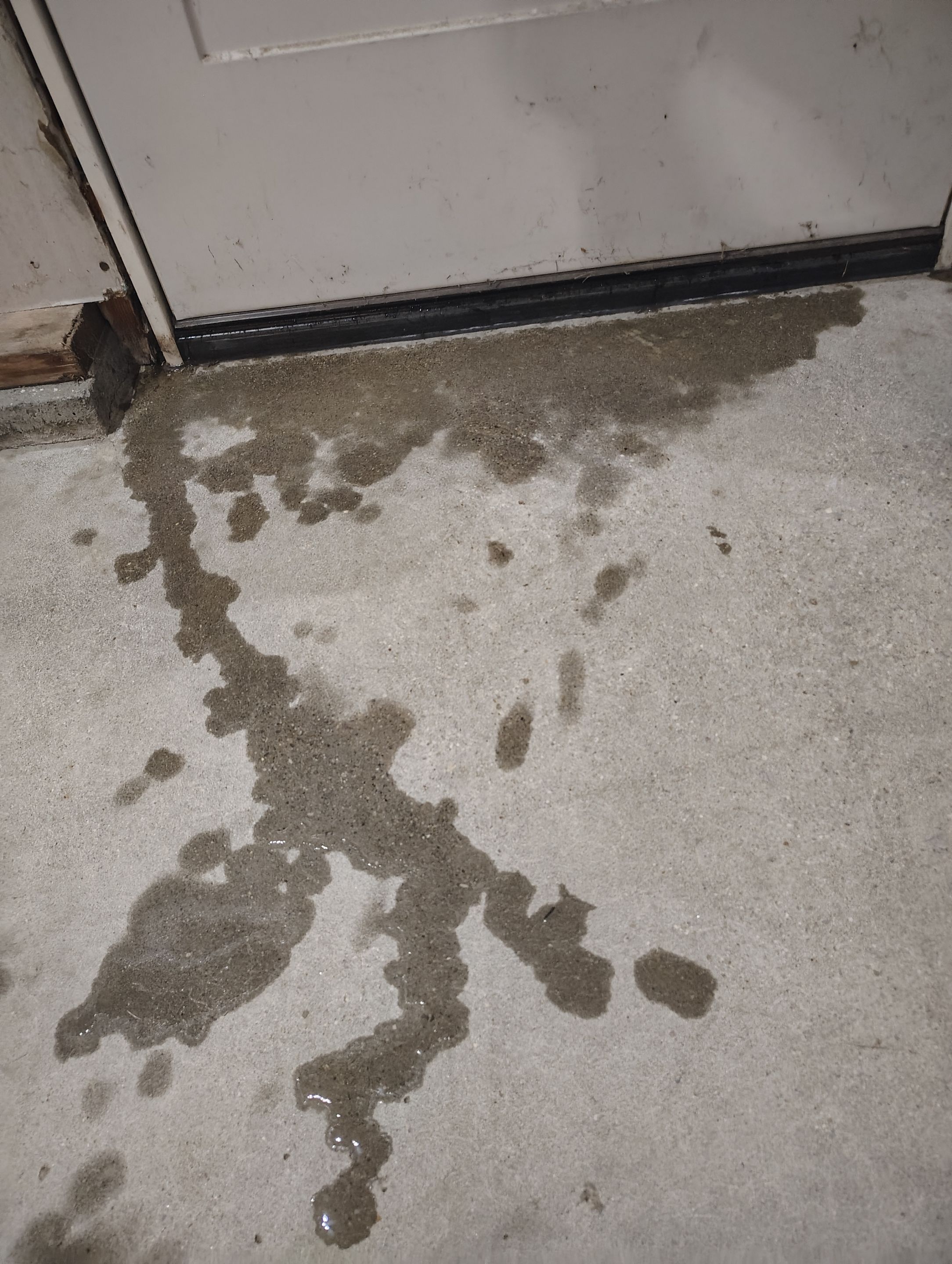 Sioux Falls Garage Concrete Grinding and Nightfall Decorative Chip Coating by Select Painting, Coatings & Garage Cabinets