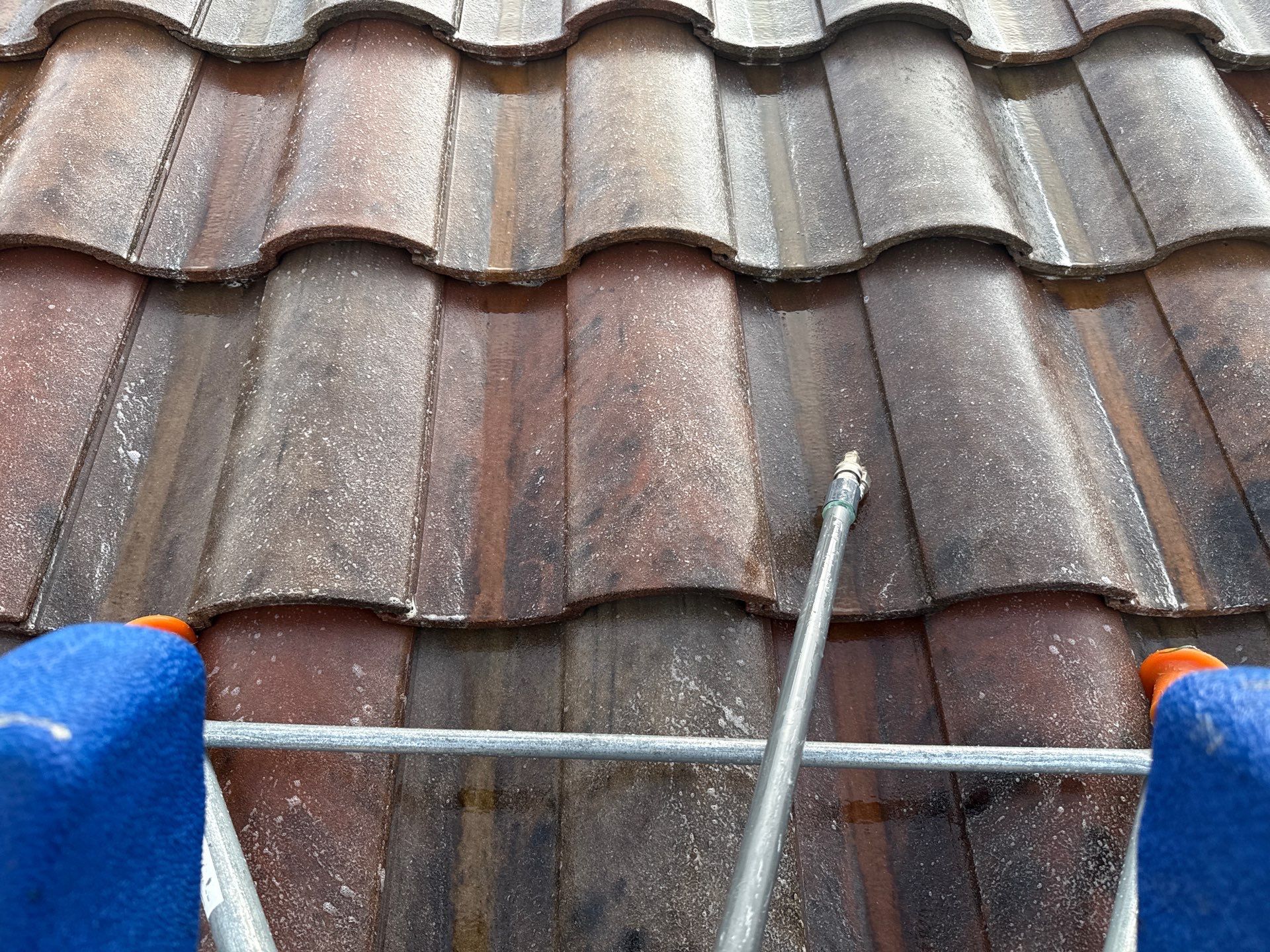 Paver Pool Deck, Driveway & Concrete Tile Roof Cleaning in River Strand, Bradenton, FL | Sunshine AquaWash by Sunshine AquaWash