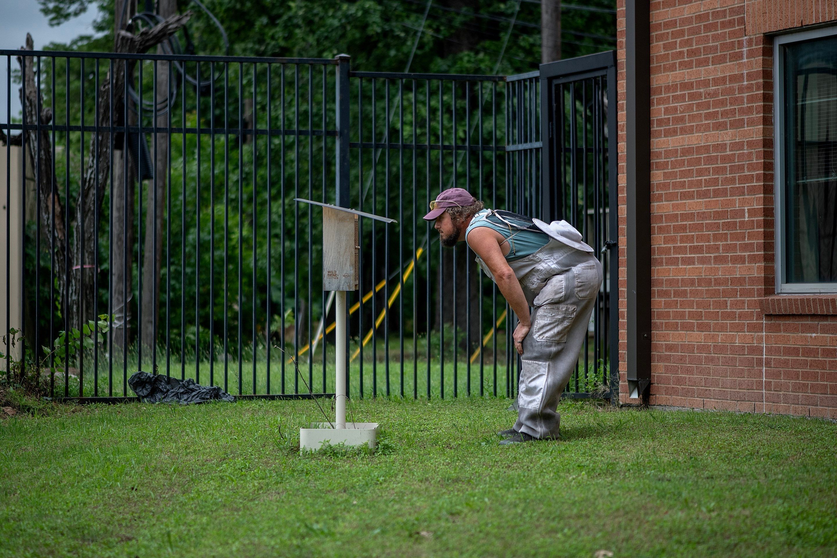 Urban Beekeeping in Dallas by Rockwall Honey Bee Company