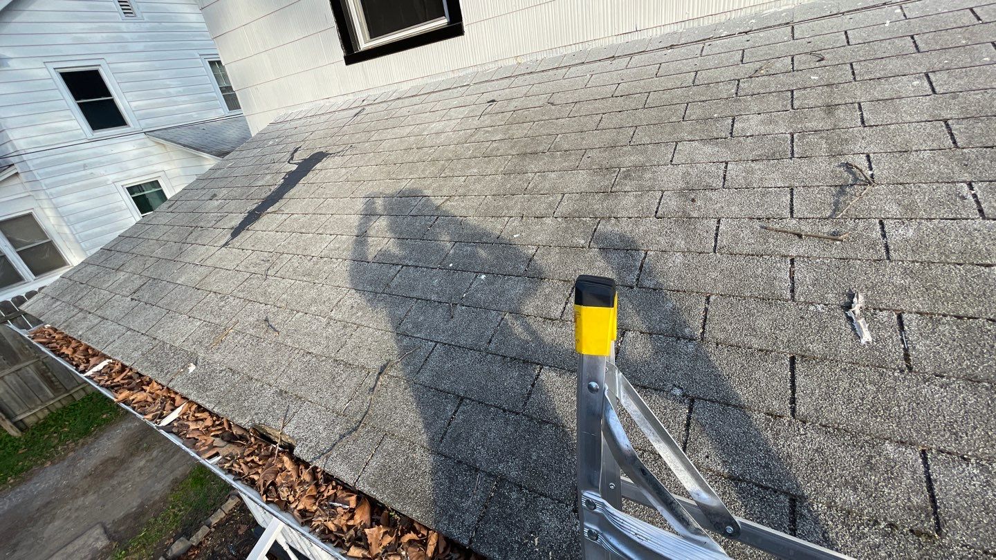 Onyx Black Shingles by Reimagine Roofing