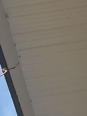 Clean Gutters and Downspouts