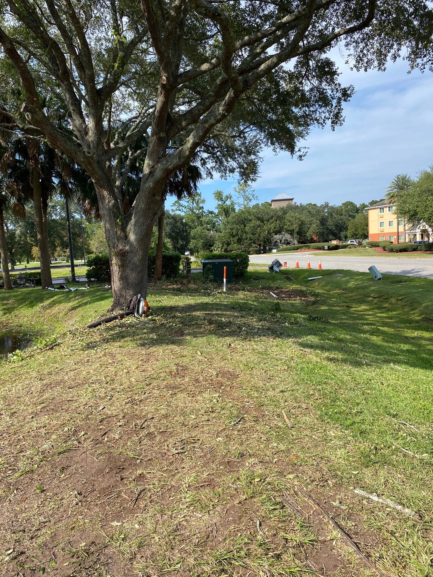 Tree & Shrub Removal | Marriott Hotel by ProGreen Services