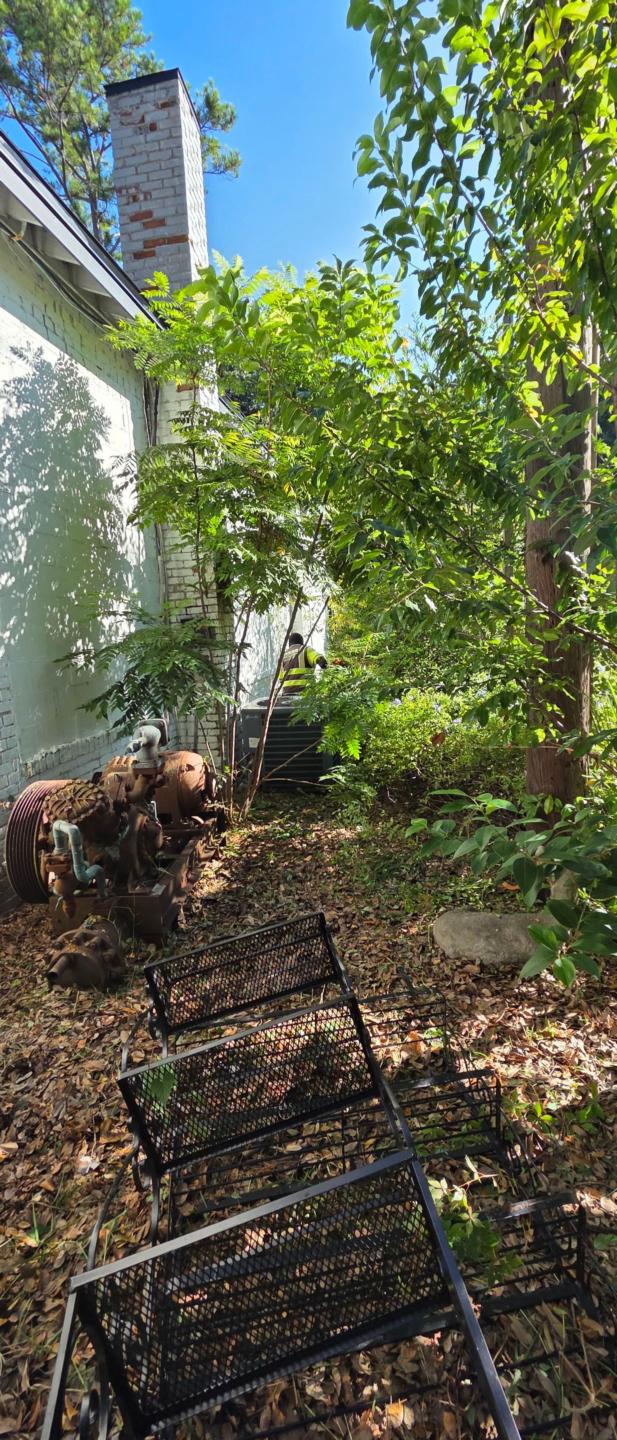 Commercial Property | Clean Up & Tree Removal by ProGreen Services