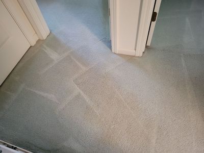 Annual Carpet Cleaning of an EDH Home