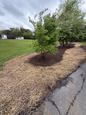 Yard Transformation