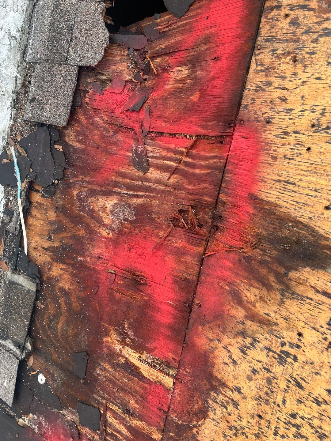 Project in Tampa 33614 by Mitchell Roofing Company LLC