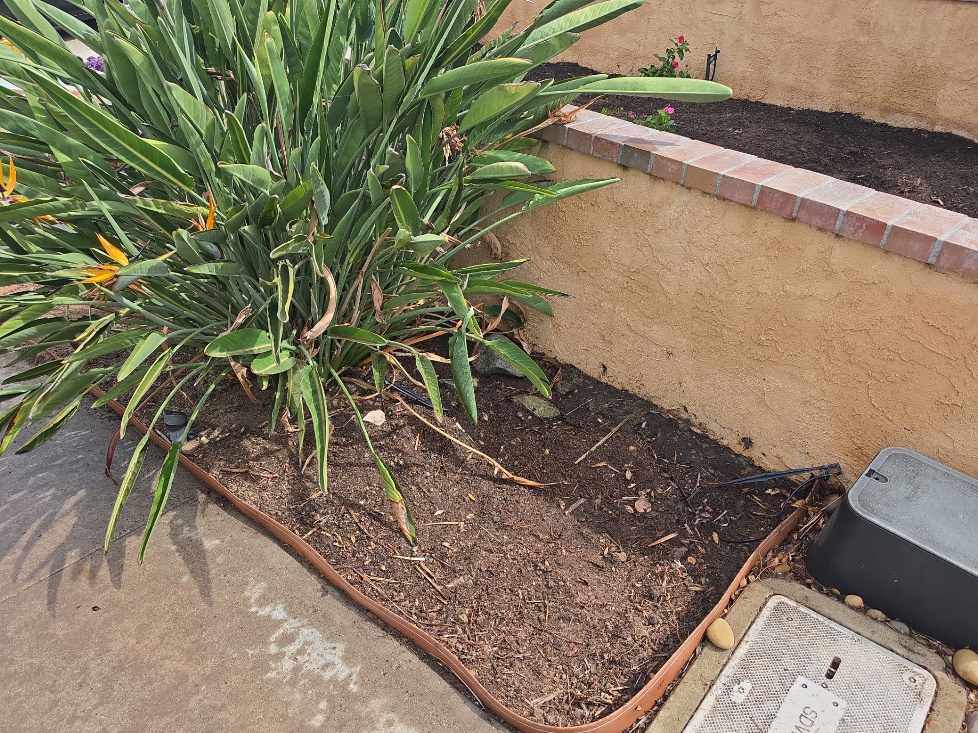Hand Removal & Site Preparation Project by Yard Techs