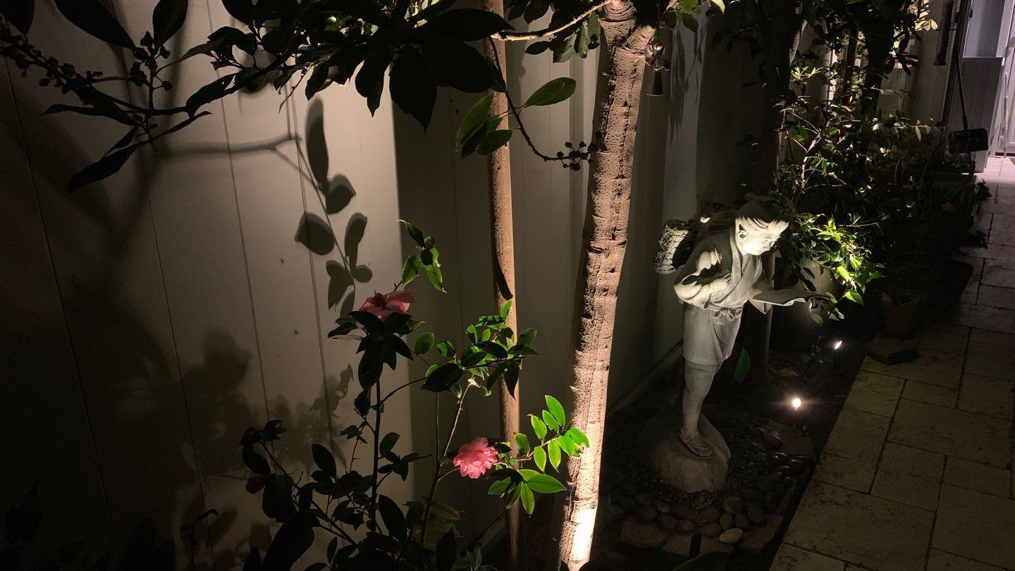 Long Beach Landscape and Architectural Lighting Revamp by Outdoor Lights + Shades