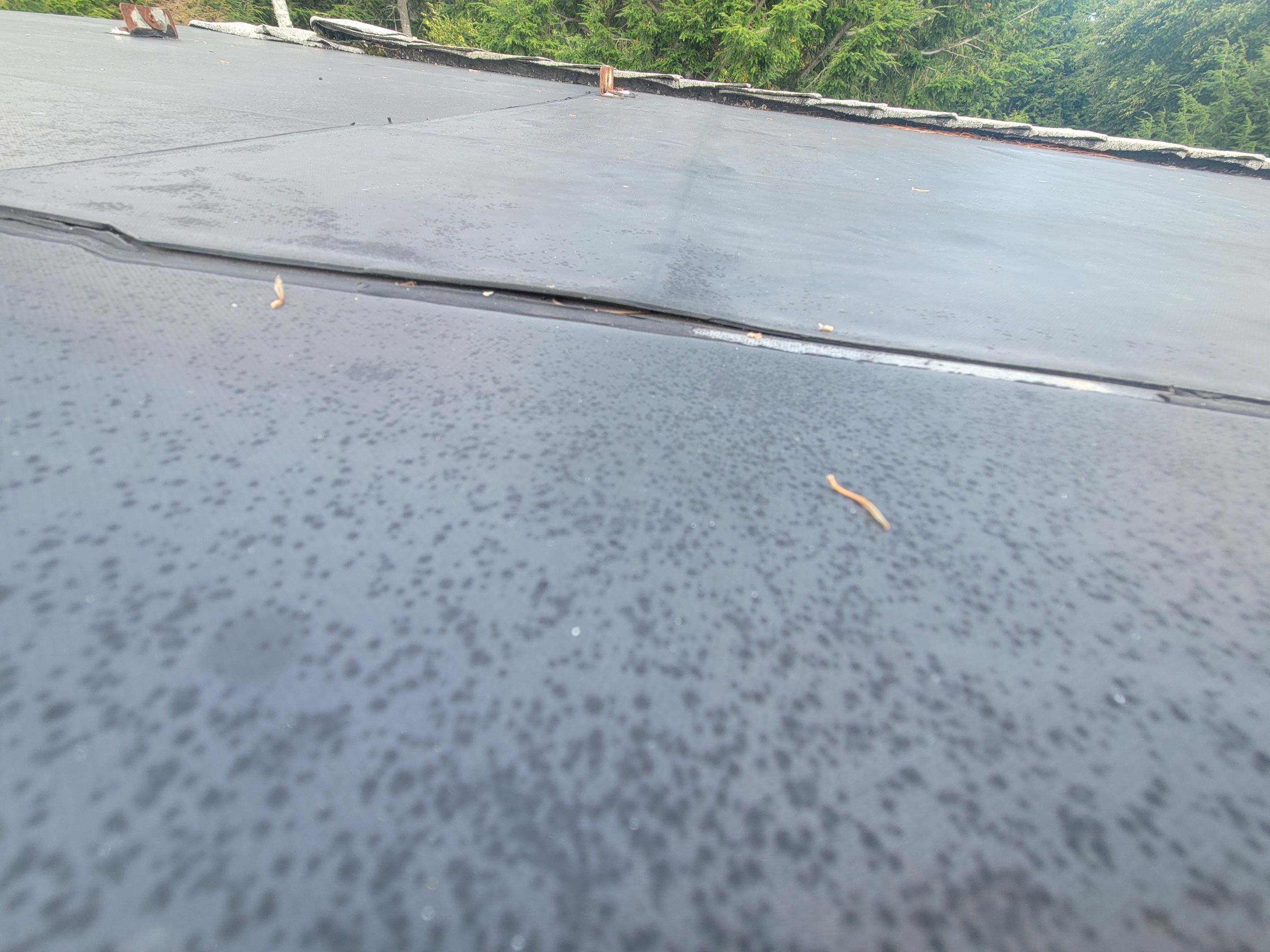 New Metal Roof using All Thats Metal 29g Currigated by The B.A.R Roofing