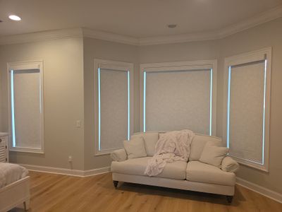 Roller Shades