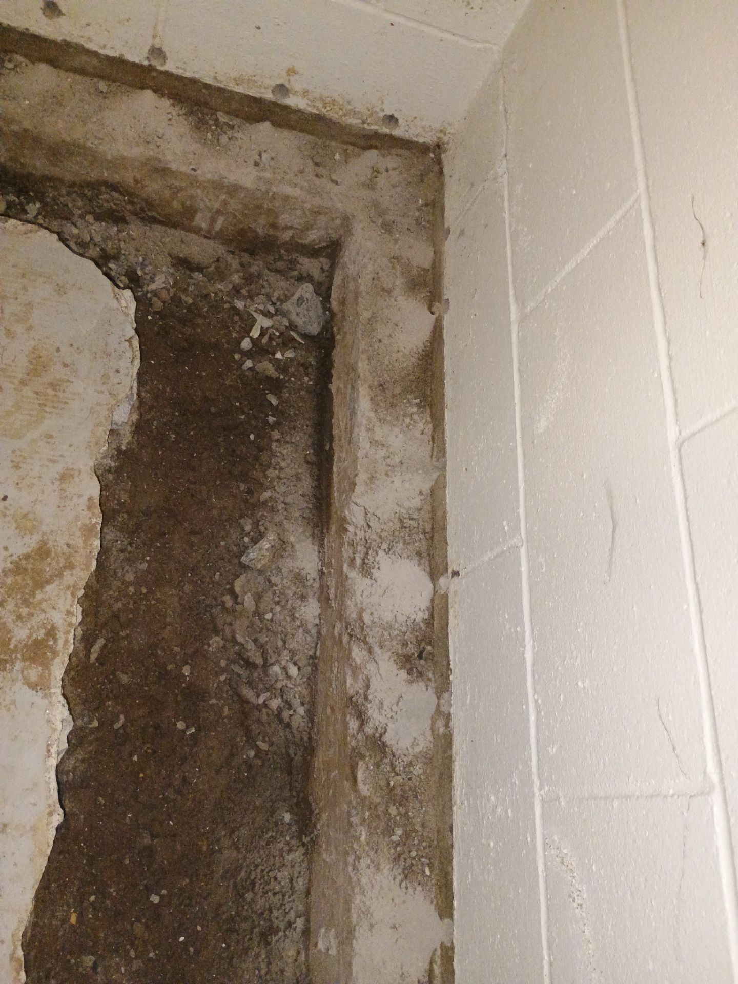 Helping Our Neighbor Gail by Waterproofing Northeast