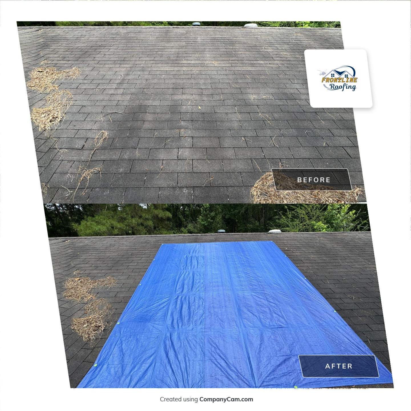 Emergency Roof Tarping and Leak Prevention in Carriere by Frontline Roofing