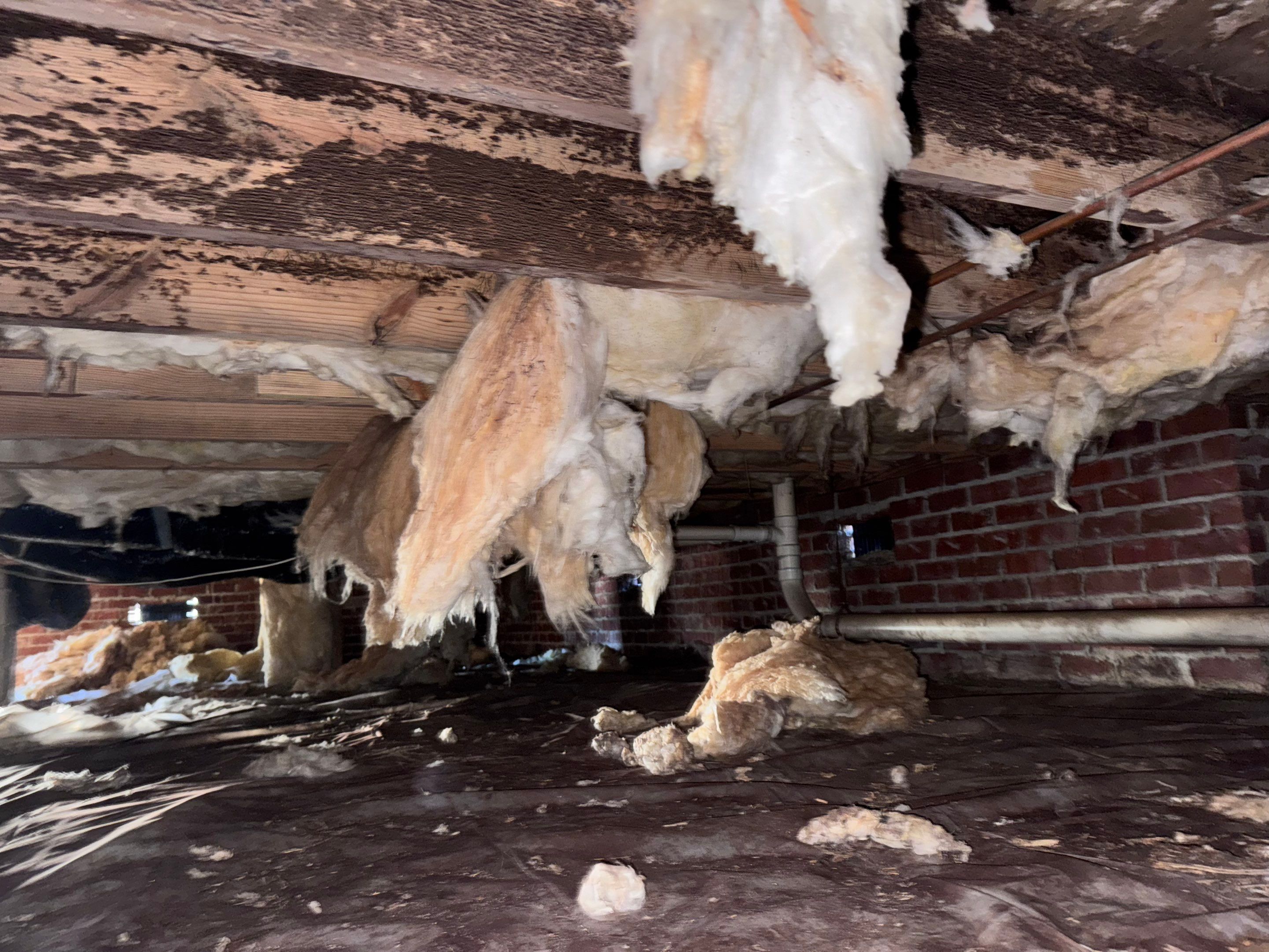 Structural Repairs inludiing sub-floor removal, new floor joists installed, girder replacmeent and dropped girder installed. by Impact Crawlspace