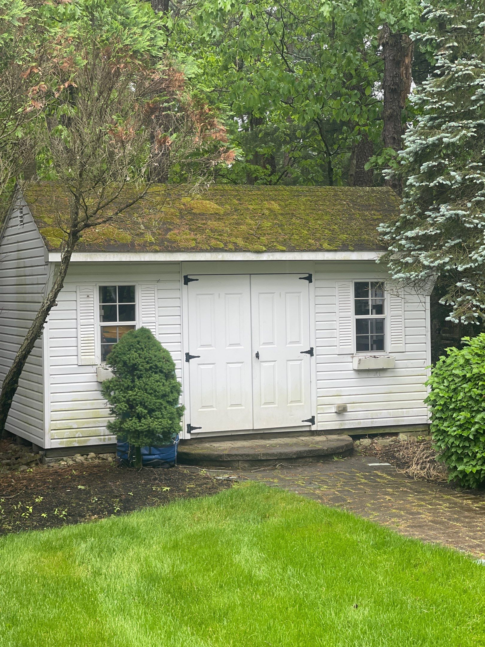 Residential Cleaning using Multi Services by SJ Exterior