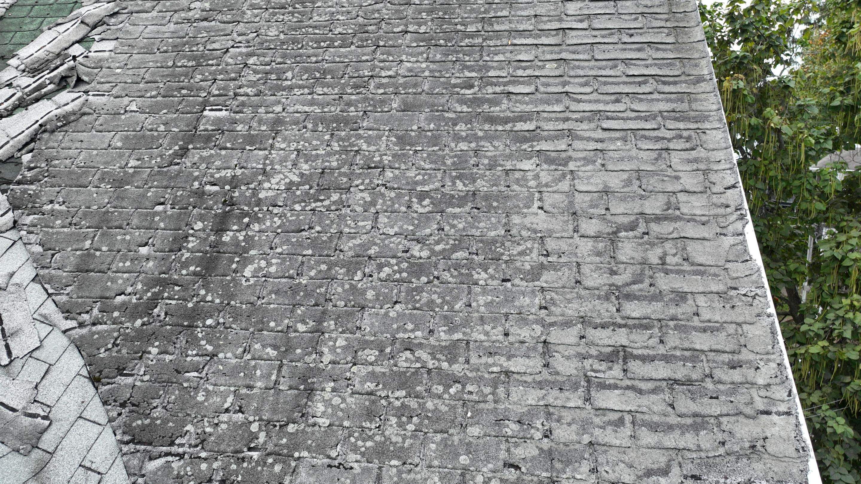 Residential Roofing Installation using Owens Corning TruDefinition by A Plus Exterior