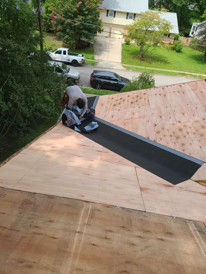 Alexandria: CertainTeed Landmark Pro Architectural Shingles in Max Def Shenandoah by RM Banning, Inc.