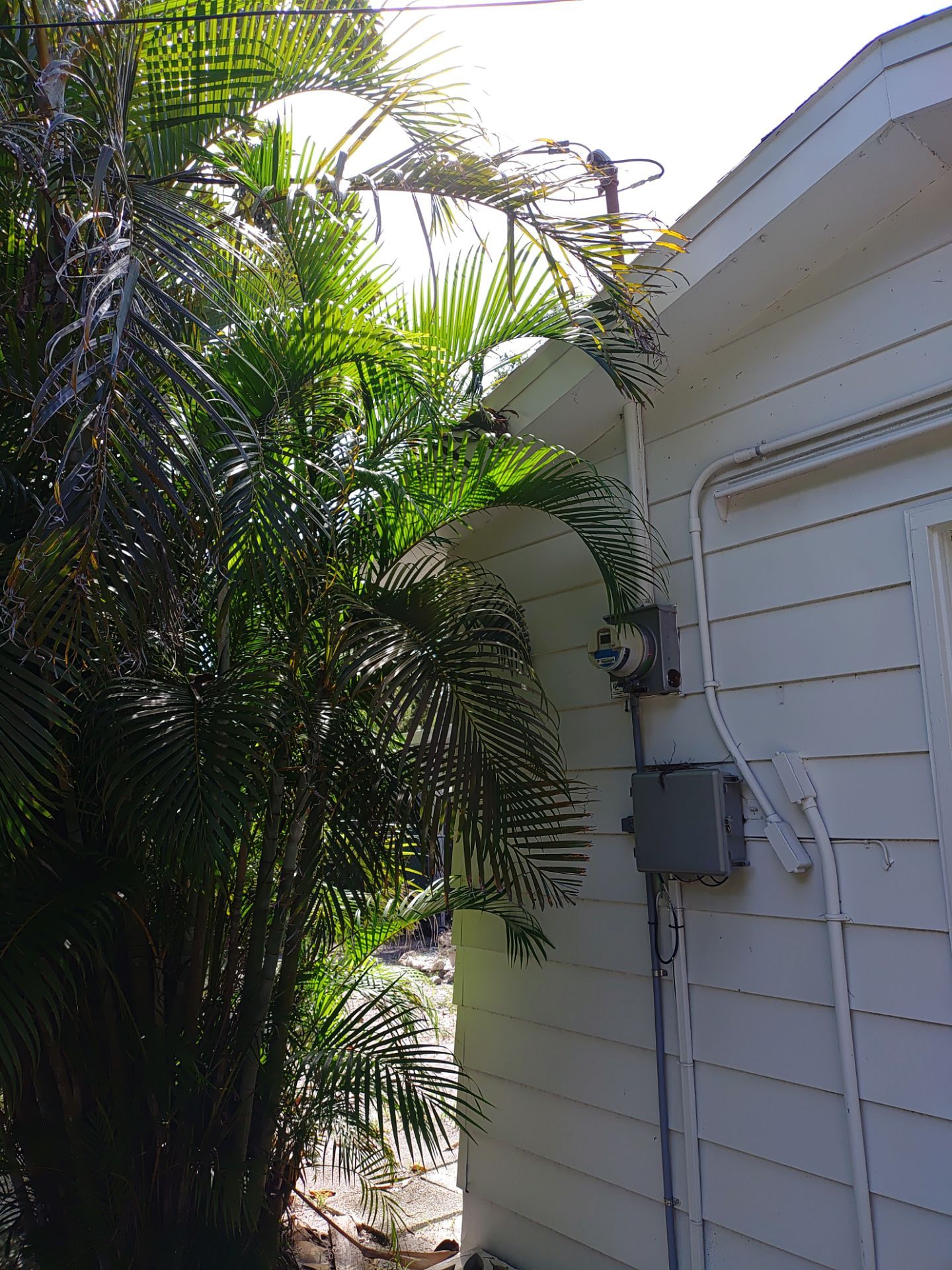 Custom Gutter Guards Installation in Sarasota FL by Gutter Professors