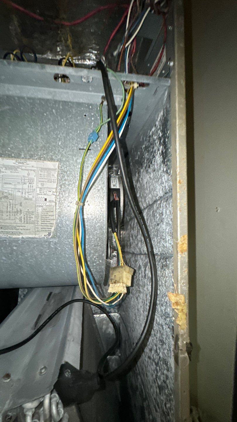 Commercial Air Duct Cleaning in Tavares by Hygienic Air, Inc