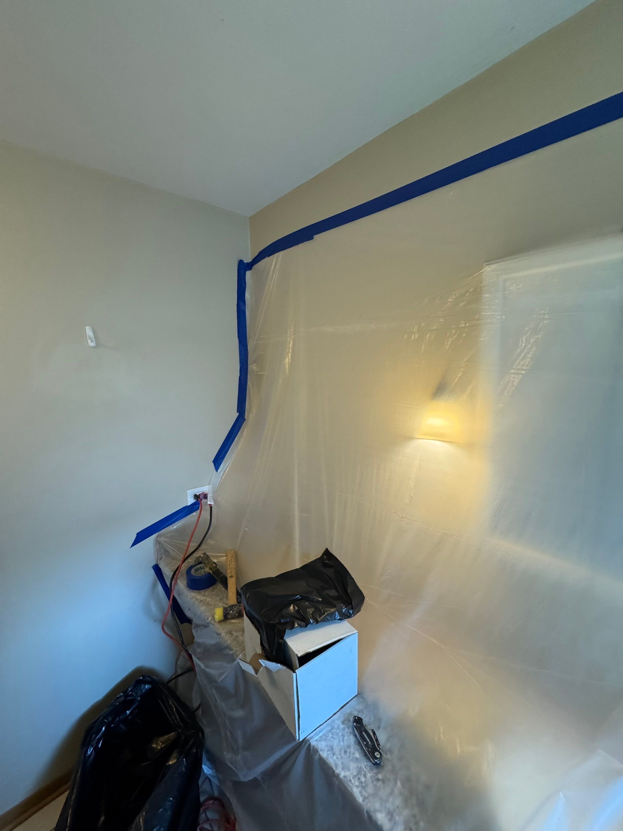 Bathroom Mold by Chicagoland Water Medics