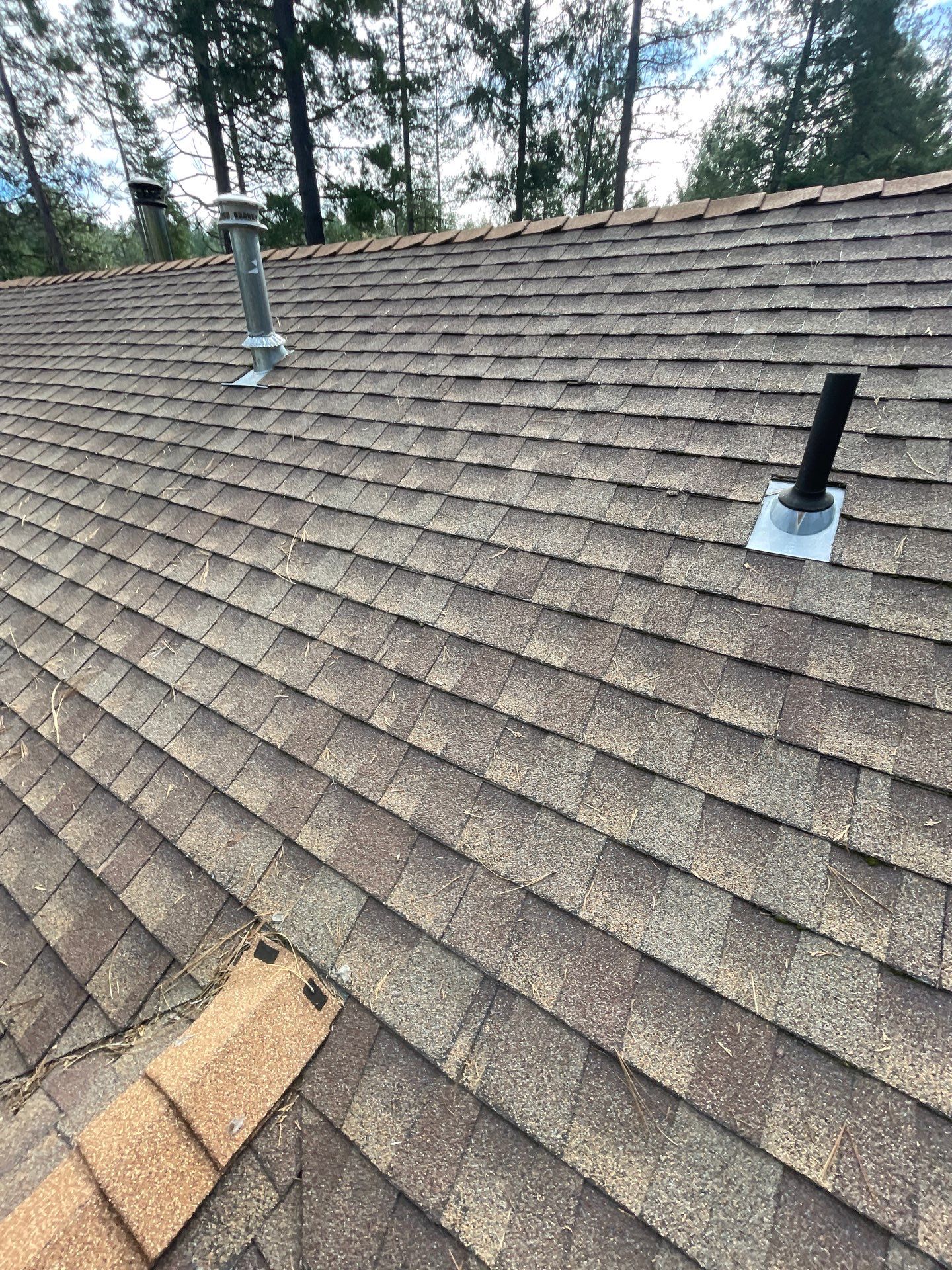 Roof Rejuvenation using Roof Maxx Treatment by Roof Maxx of Folsom