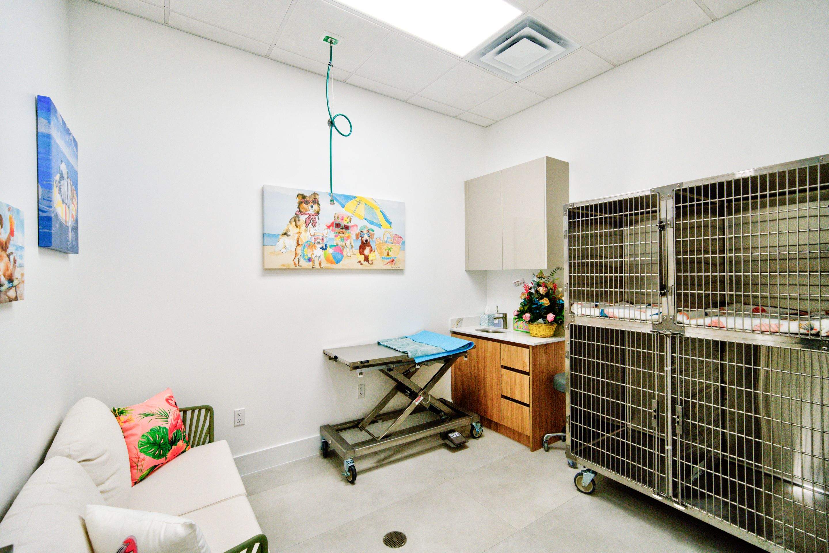 Happy Pet Eyes by Ruiz Construction Inc