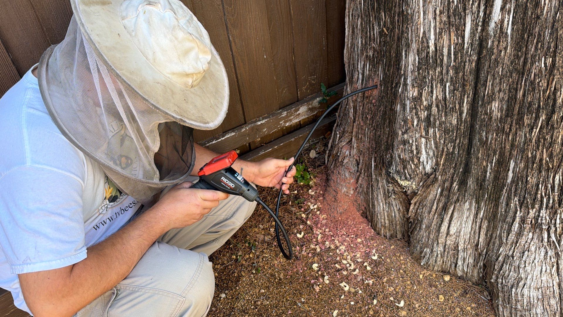 Cavern-Crack Tree Bees by Rockwall Honey Bee Company