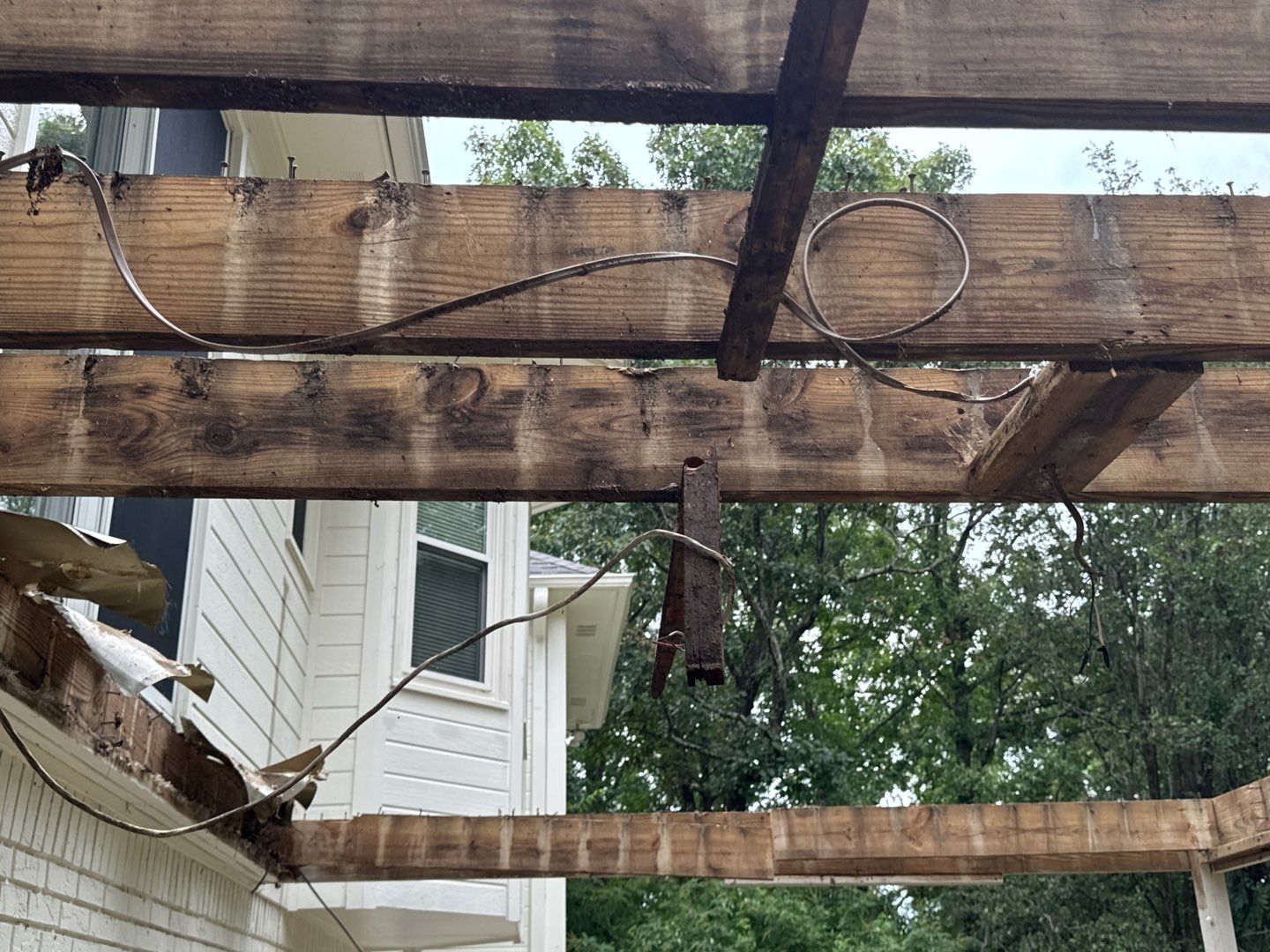 Strawberry - Deck by Pillar and Pine