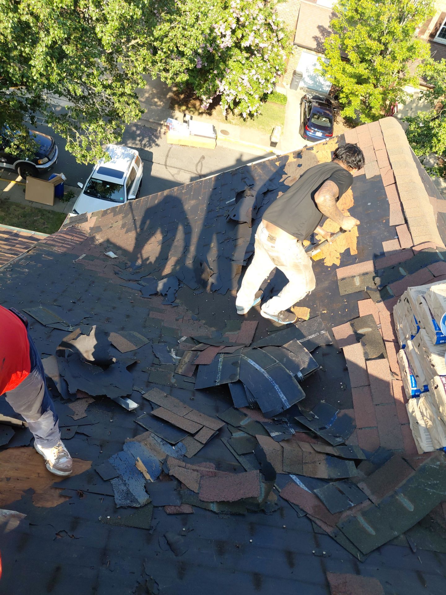 Alexandria: Residential Roof with CertainTeed Landmark Pro in Max Def Burnt Sienna by RM Banning, Inc.